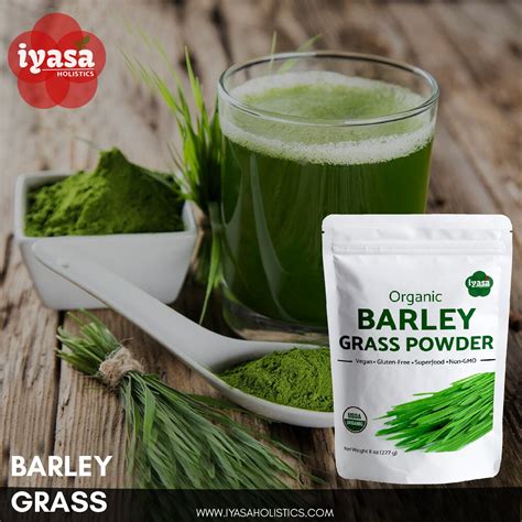 Organic Barley Grass Powder Raw Vegan Green Super Food Etsy