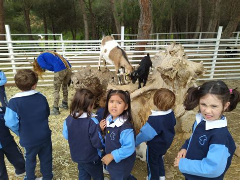 VISITA A LA GRANJA ESCUELA EL JARAMA Colegio Liceo Sorolla