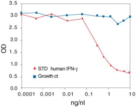 Invitrogen Kit De Elisa Para Ifn Gamma Humano Pruebas Reactivos Y