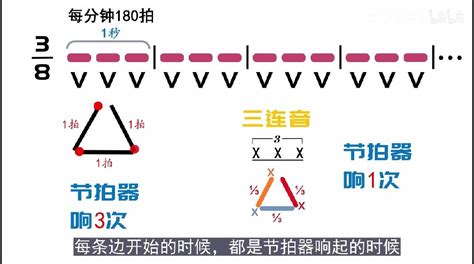 【零基础学音乐·自学乐理】75 打拍子（16） 八三、八六拍的三角形打法 哔哩哔哩