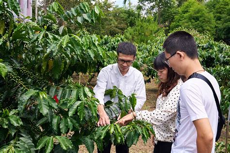 阿里山咖啡，海拔1000公尺的甘甜 阿管處處長洪維新：從產地開始玩咖啡 天下整合傳播部 微笑台灣 用深度旅遊體驗鄉鎮魅力