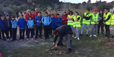 Els escolars de Castelló celebren el Dia Mundial de lArbre El