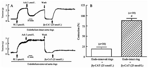 βγ Cat Induced Endothelium Dependent Contractile Effect A Compared The