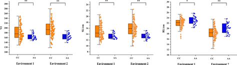 Frontiers Qtl Mapping And Kasp Marker Development For Seed Vigor