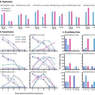 Replication and respiratory droplet transmission in guinea pigs of H3N8 ...