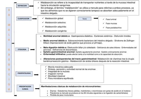 Res Menes De S Ndrome Malabsorci N Descarga Apuntes De S Ndrome