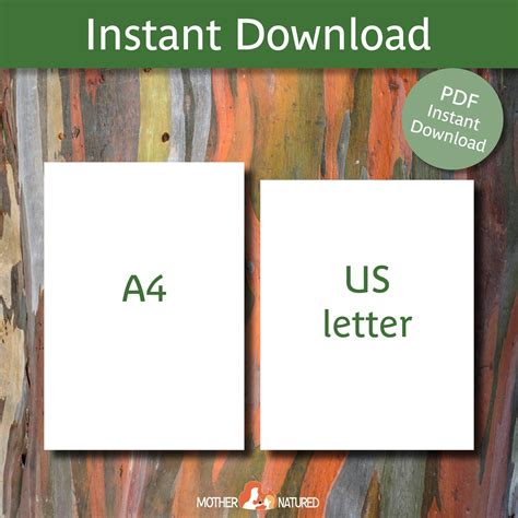 Food Chain Cards Food Web Cards Food Chain Explain Cards Food Web