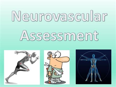 Neurovascular Assessment