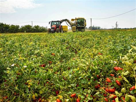 Generazione Terra Ismea Boom Di Domande Al Via Lasta Bta Per