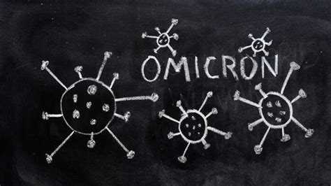 Highly Infectious New Omicron Sub Variant Bf Detected In India The