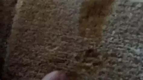 Pissing On My Bedroom Carpet Gay Amateur Porn D XHamster