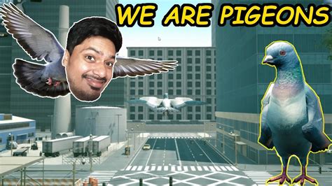 Life Of Pigeons Pigeon Simulator Hindi Gameplay Youtube