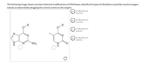 Solved The following image shows common chemical | Chegg.com