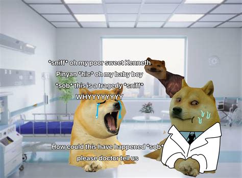 kenneth pinyan mr hands video 12