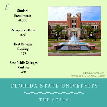 UF vs FSU: Best Public College in Florida?