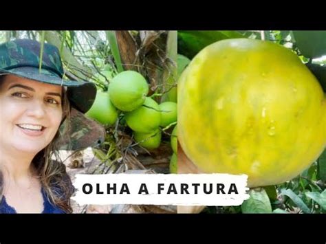 Fartura Aqui No S Tio Da Minha M E Olha A Quantidade De Frutas Tour