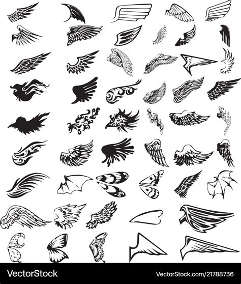 43 wing types Royalty Free Vector Image - VectorStock