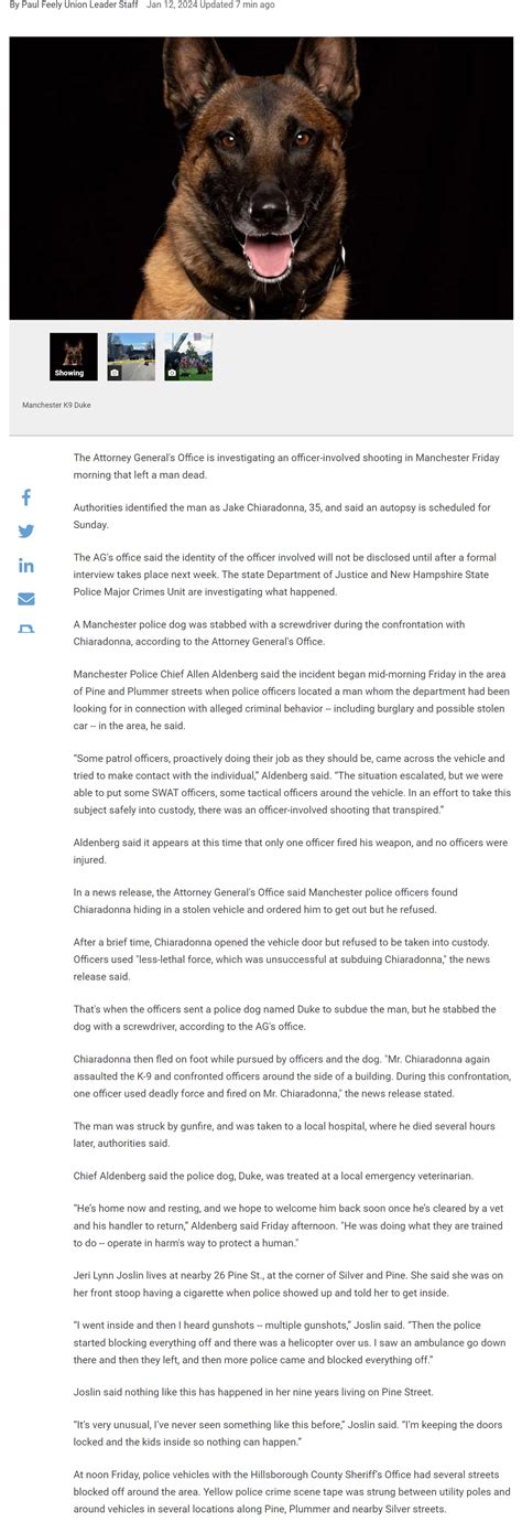 New Hampshire Manchester Police Log Confirms Domestic Violence Increase 8