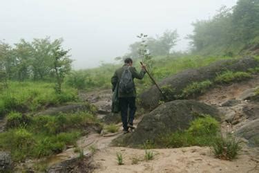 La D Couverte De Sapins Du Ziyuan A Apport Un Nouvel Espoir L Une