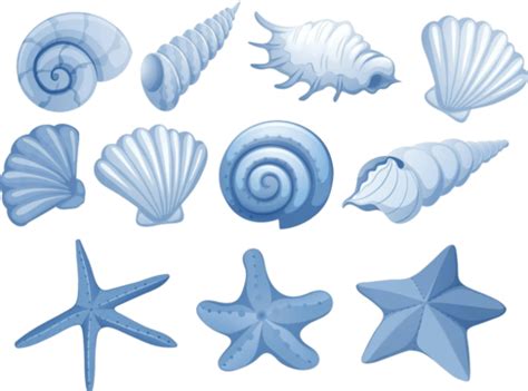 A Set Of Blue Seashell Clip Art Blue Blue Vector Clip Art Blue