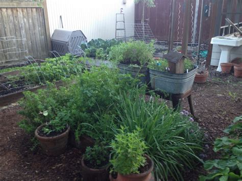 The Kitchen Garden Herbs Kitchen Garden Garden Plants