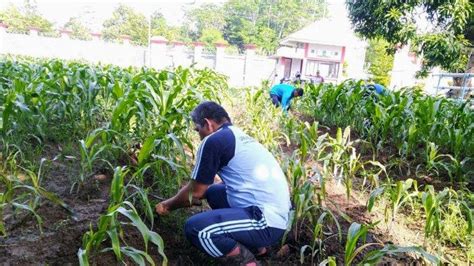 Ini Yang Dilakukan Kepala Dan Petugas Lapas Terbuka Kendal Setelah