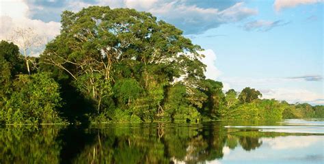 Río Amazonas, lista de ríos del Perú - información de Perú