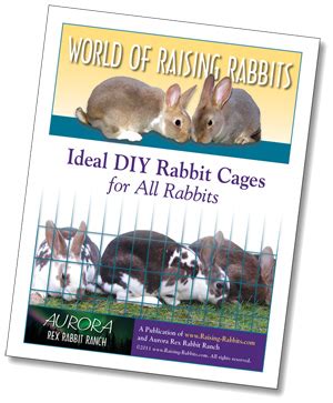 Rabbit cage plans. Free Plans for Building an All-Wire Rabbit Cage