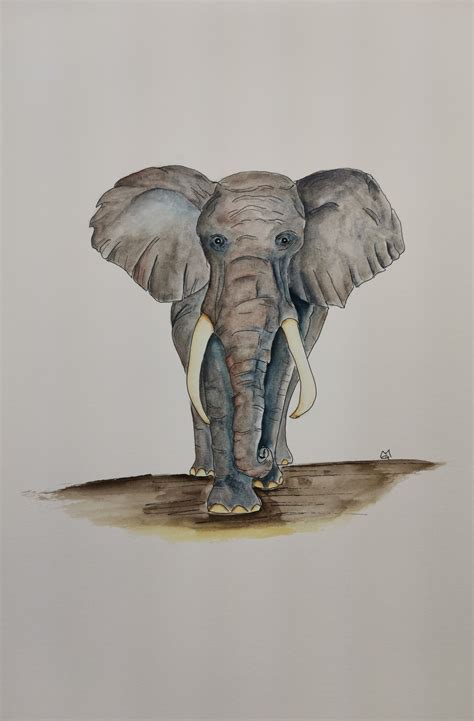 ArtStation - Elephant watercolor painting digital version | Artworks