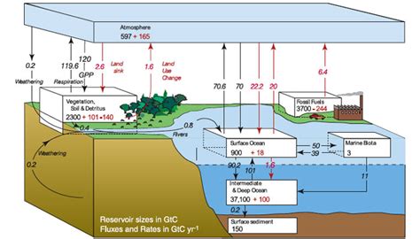 2 Consequences Of Global Climate Change THE GEOGRAPHER ONLINE