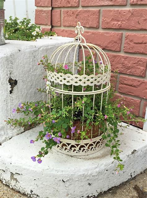 Birdcage Flower Planter A Beautiful Way To Display Your Flowers