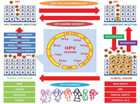 The Paediatric Story Of Human Papillomavirus Review