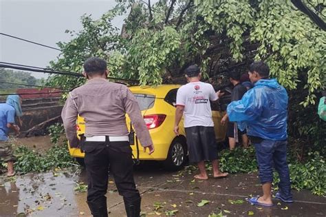 Pohon Tumbang Timpa Mobil Brio Di Pamulang Arus Lalu Lintas Terputus