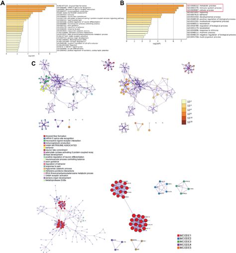 Functional Enrichment Analysis Of Differentially Expressed Genes Degs