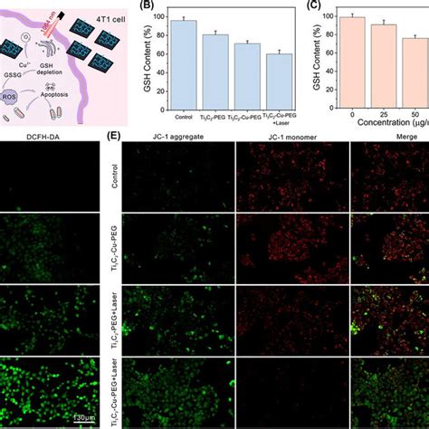 Intracellular Ros Generation And Gsh Depletion A Schematic