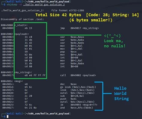 Linux X86 Assembly How To Make Our Hello World Usable As An Exploit