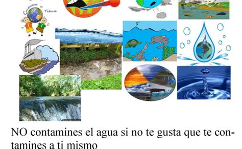 Acciones Para Prevenir La Contaminacion Del Agua Theme Loader