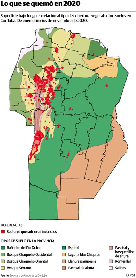 Incendios De 2020 El Impacto Sobre El Escaso Bosque Nativo Que Queda