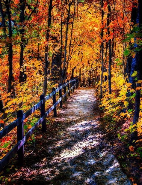 Governor Dodge State Park Wisconsin Autumn Scenery Nature