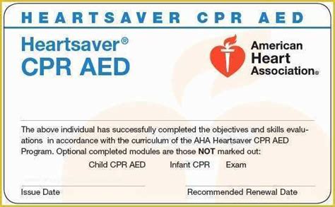 Free Cpr Card Template Of American Heart association Cpr Card Template ...