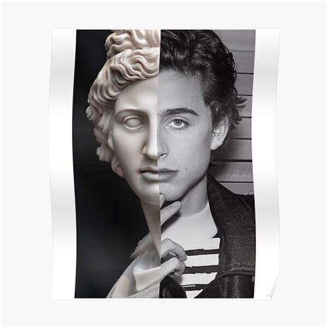 Póster Hombre divertido Timothée Chalamet Obra maestra Regalos lindos