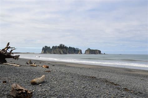 Rialto Beach in Olympic National Park on the Olympic Peninsula in Washington Stock Image - Image ...