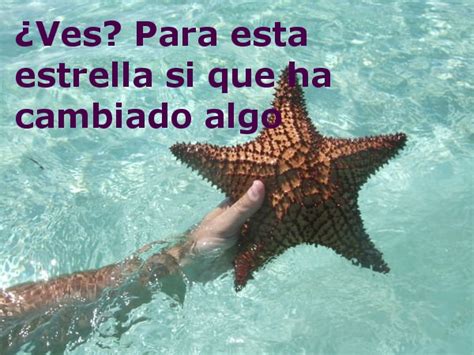 La Estrella De Mar Cuento Taringa