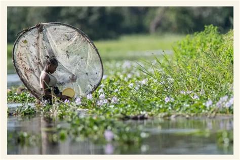 Uncover the Secrets of Dzanga Sangha National Park - outback-africa.net