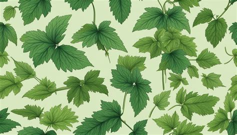 The Ultimate Guide To Foraging And Harvesting Stinging Nettles Expert