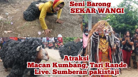 Tari Macan Kumbang Rande Bali Sekar Wangi Youtube