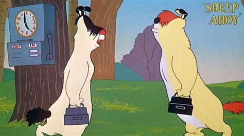 Sheep Ahoy 1954 Merrie Melodies Ralph Wolf And Sam Sheepdog Cartoon