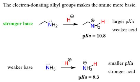 Basicity Of Amines Chemistry Steps