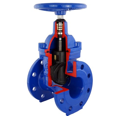 Wedge Gate Valve Dn Dn Order Online