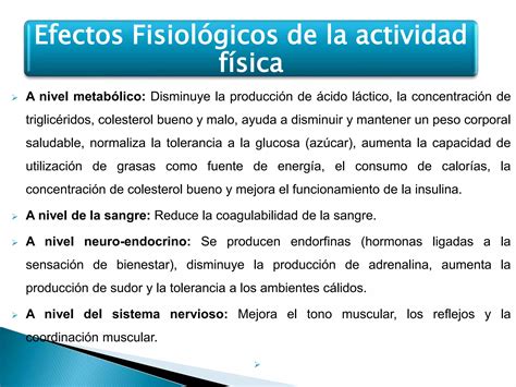 Efectos Fisiologicos De La Actividad Fisica PPT